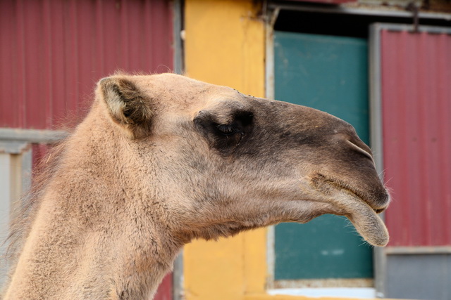 2014 09 30 Atlantis 007