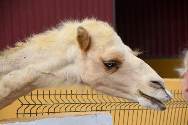 2014 09 30 Atlantis 008