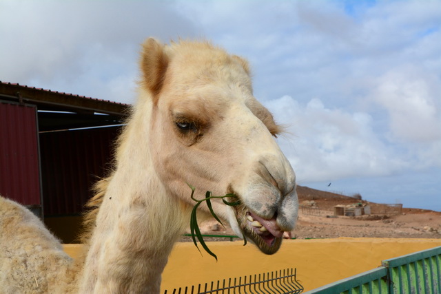 2014 09 30 Atlantis 009