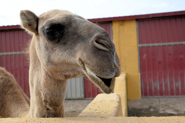 2014 09 30 Atlantis 010