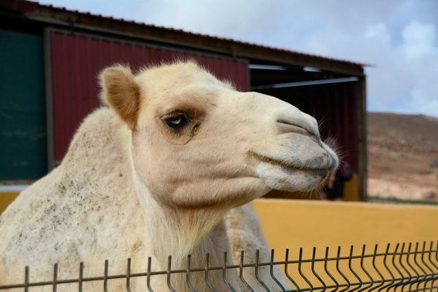 2014 09 30 Atlantis 011