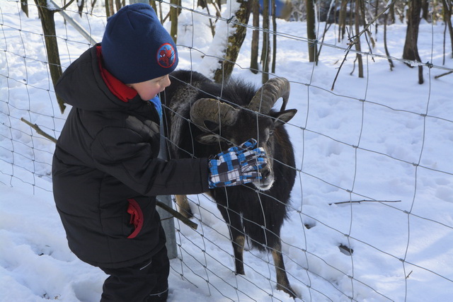 2014 01 27 Hauzenberg 084