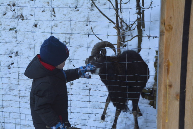 2014 01 27 Hauzenberg 088