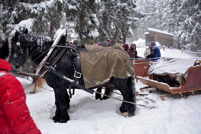2014 12 27 Hohenschwangau 087