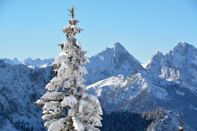 2014 12 27 Hohenschwangau 164