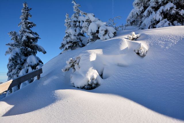 2014 12 27 Hohenschwangau 187