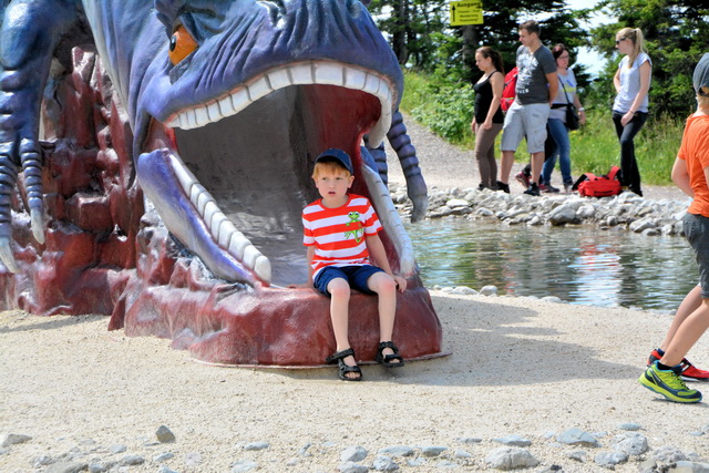 2015 07 20 Fieberbrunn 022