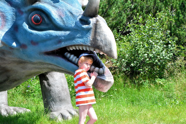 2015 07 20 Fieberbrunn 052