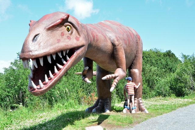 2015 07 20 Fieberbrunn 081