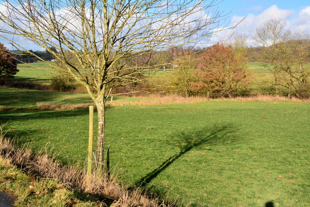 2015 12 29 Gillenfeld 068