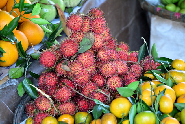 2015 04 23 Vietnam 453