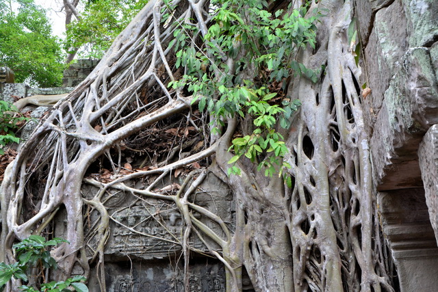 2015 04 23 Vietnam 632