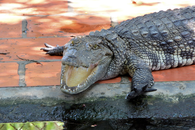 2015 04 23 Vietnam 922