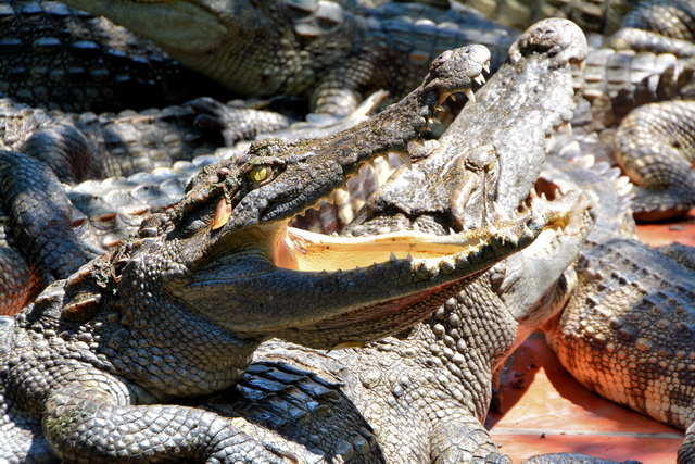 2015 04 23 Vietnam 924