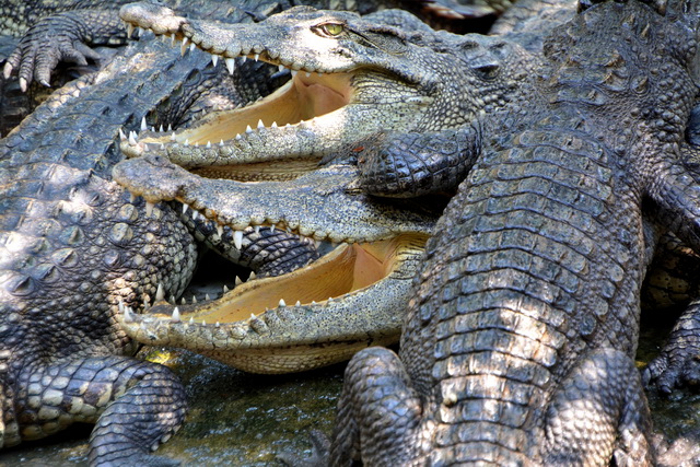 2015 04 23 Vietnam 926