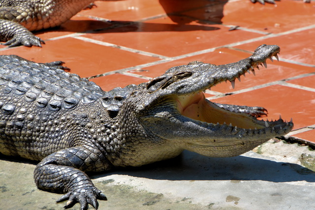 2015 04 23 Vietnam 937