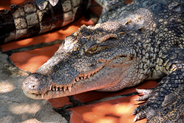 2015 04 23 Vietnam 941