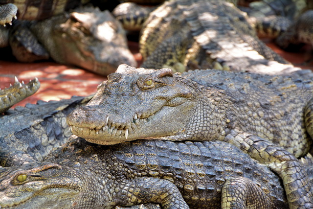 2015 04 23 Vietnam 931