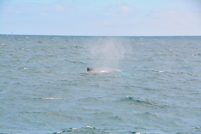 2016 04 06 Karamboa 021