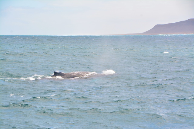 2016 04 06 Karamboa 023