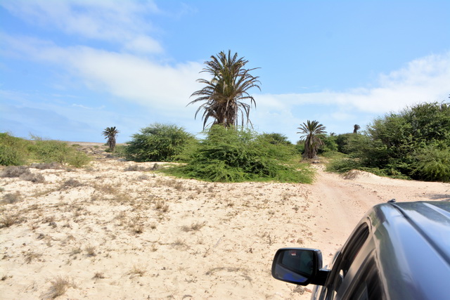 2016 04 06 Karamboa 232