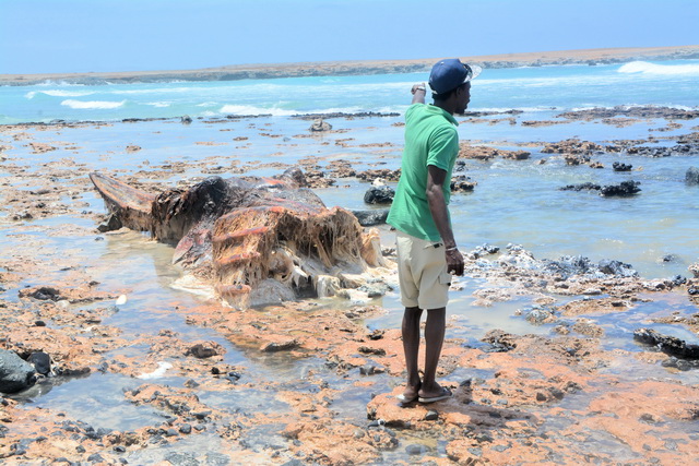 2016 04 06 Karamboa 294