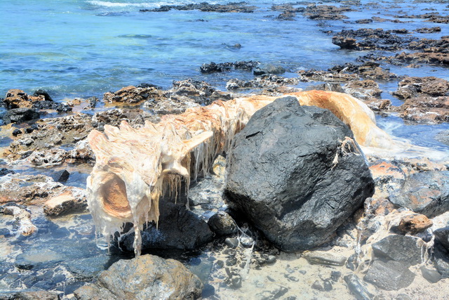 2016 04 06 Karamboa 297