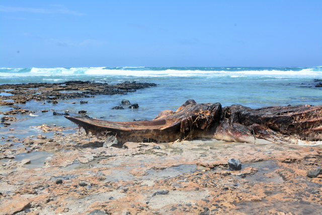 2016 04 06 Karamboa 314