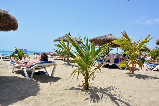 2016 04 06 Karamboa 437