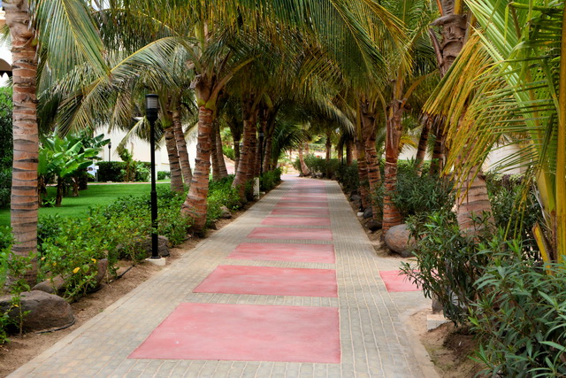 2016 04 06 Karamboa 484