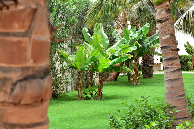 2016 04 06 Karamboa 485