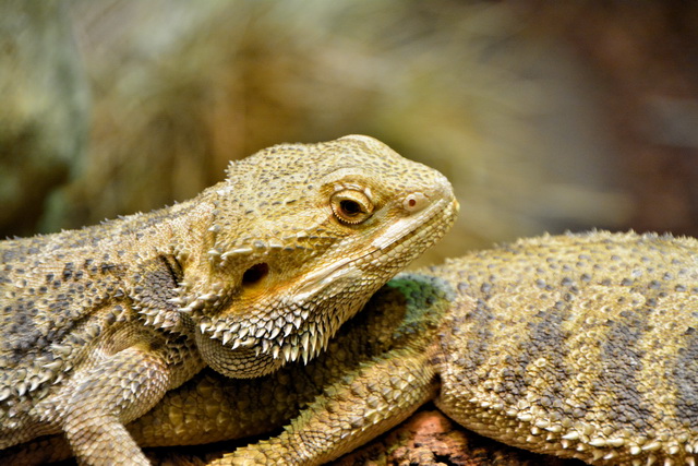 2016 03 05 Embach 088