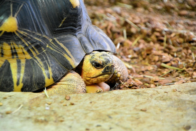 2016 03 05 Embach 090