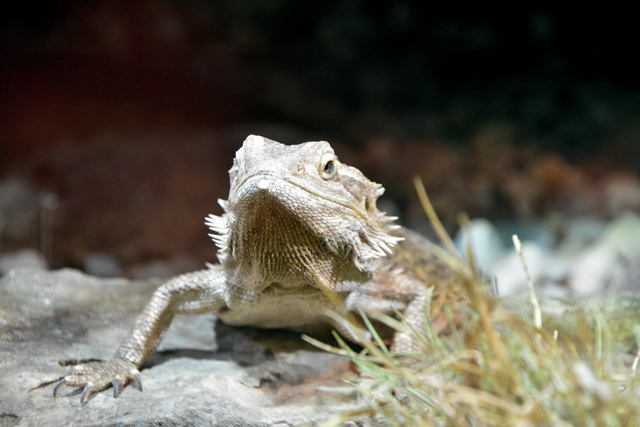 2016 03 05 Embach 094