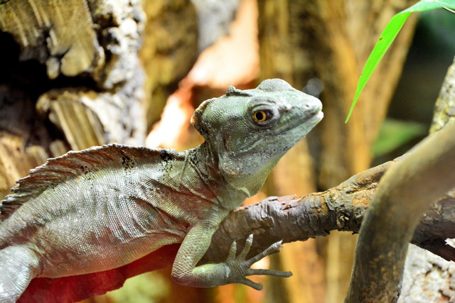 2016 03 05 Embach 096