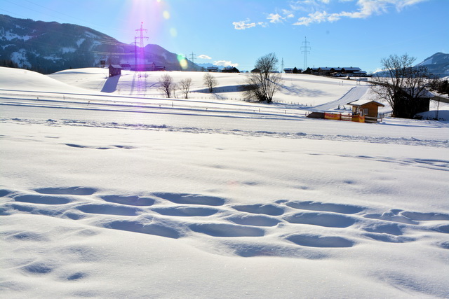 2016 03 05 Embach 105