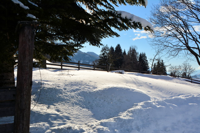 2016 03 05 Embach 119