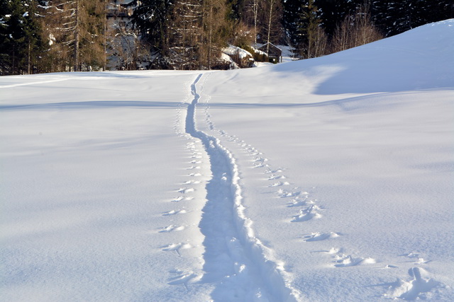 2016 03 05 Embach 120