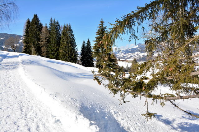 2016 03 05 Embach 164