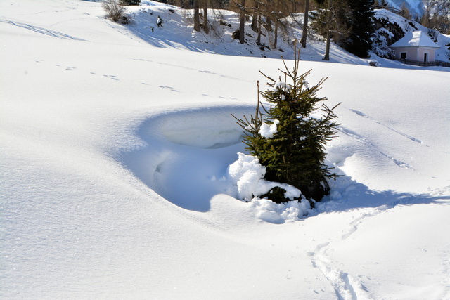 2016 03 05 Embach 165