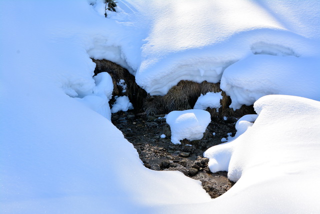 2016 03 05 Embach 169