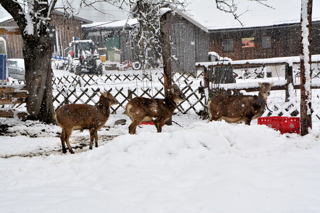 2016 03 05 Embach 022