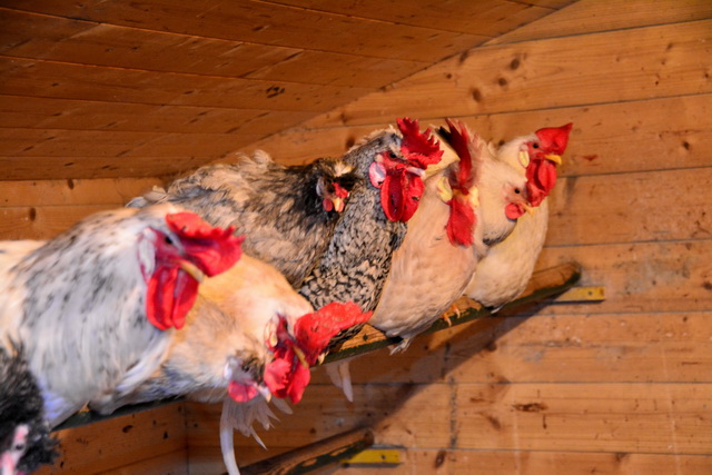 2016 03 05 Embach 061