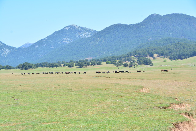 2016 06 22 SunisElita 022