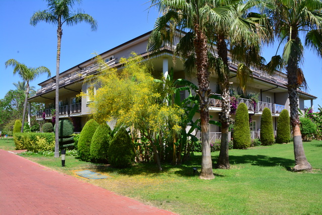 2016 06 22 SunisElita 025