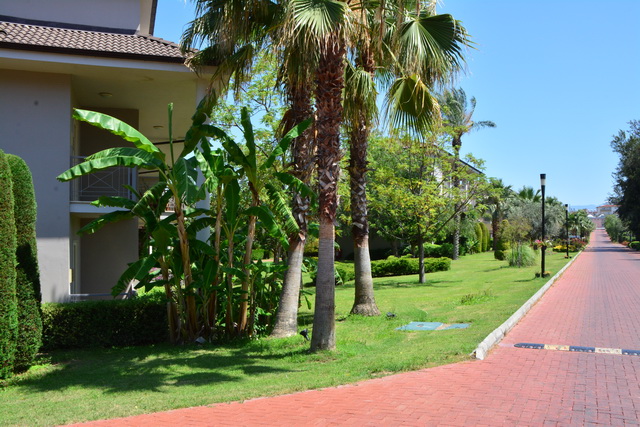 2016 06 22 SunisElita 027