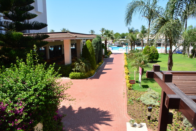 2016 06 22 SunisElita 030