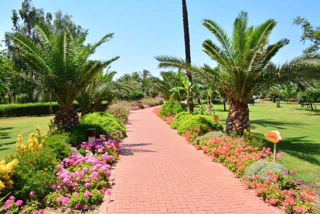 2016 06 22 SunisElita 040