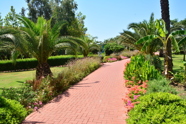 2016 06 22 SunisElita 041