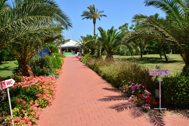 2016 06 22 SunisElita 042